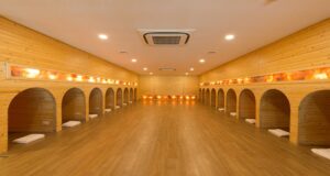 tien ich xanh villas 13